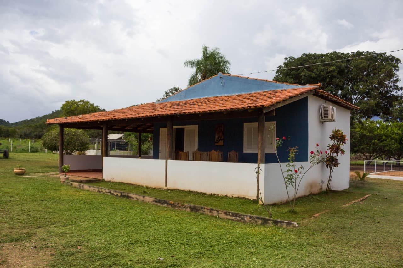 Miniatura 11
