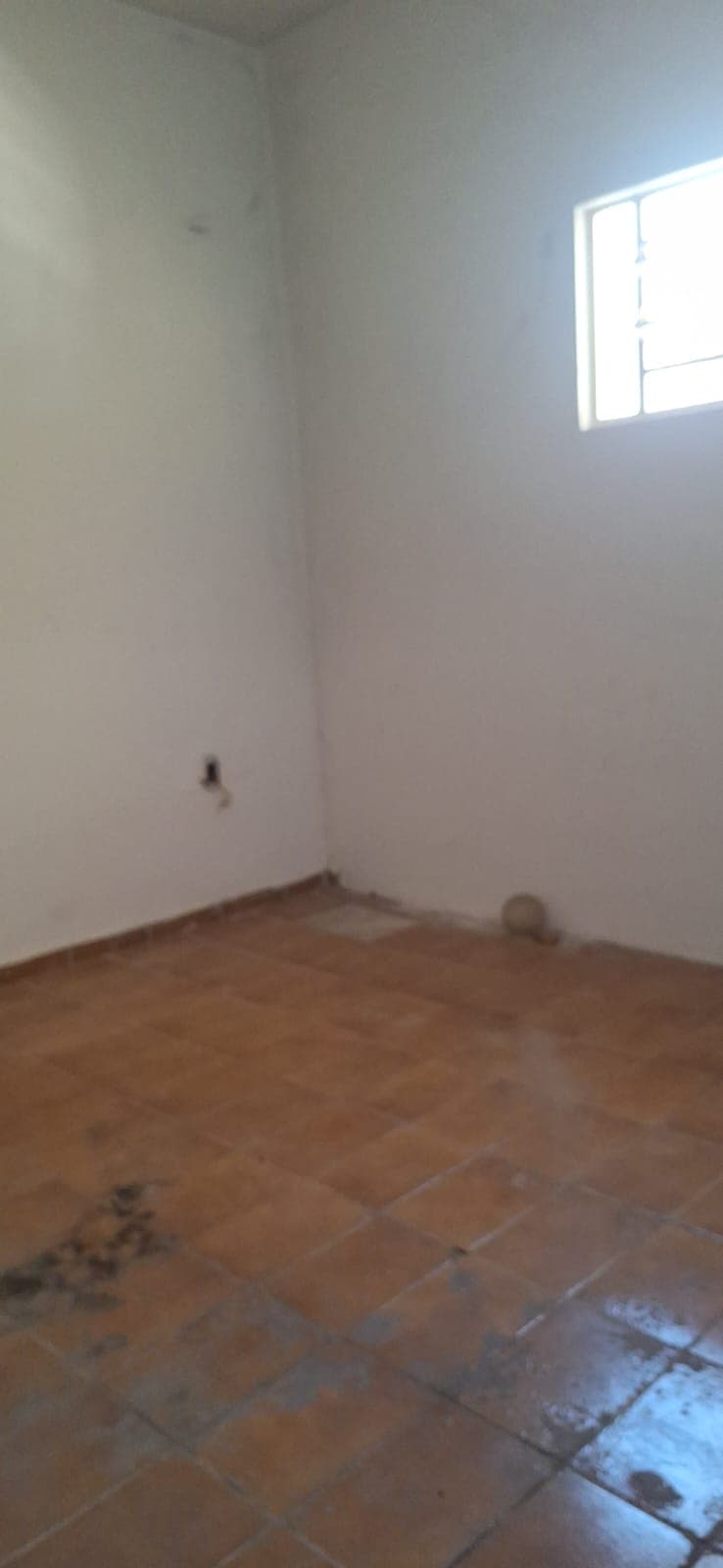 Miniatura 20